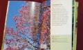 Справочник на дърветата по света / A Concise Guide to Trees, снимка 9