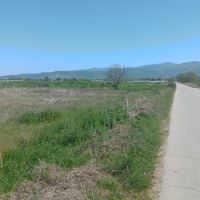 Земеделска земя на асфалтов път до с.Ново село., снимка 3 - Земеделска земя - 45326320