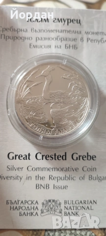 Голям гмурец