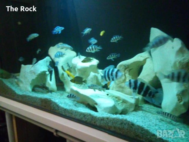 Аквариум с оборудване и стоика 1200лт, снимка 2 - Аквариуми - 54095384