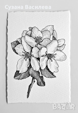 Нежни графични рисунки на цветя – ръчна изработка, снимка 4 - Картини - 53852610