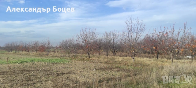 с. МАРКОВО- ЧЕРЕШОВА ГРАДИНА до борсата първенец, снимка 4 - Земеделска земя - 49249971