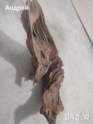 Огромни Мангров корен 50+см. 60 - 85лв. , снимка 2 - Оборудване за аквариуми - 51042014