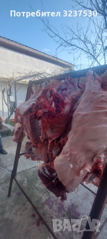 Телешко Месо, снимка 2 - Крави - 52667898