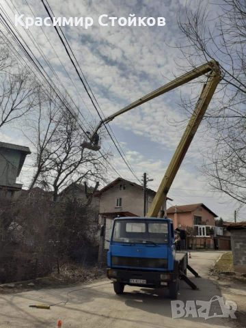 Рязане на опасни дървета и клони!, снимка 5 - Други почистващи услуги - 46111630