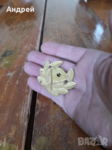 Стара Военна кокарда #3, снимка 2 - Антикварни и старинни предмети - 53584196