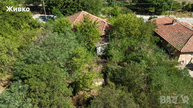 Стара къща в село Сокол, обл. Силистра , снимка 12 - Къщи - 45406043