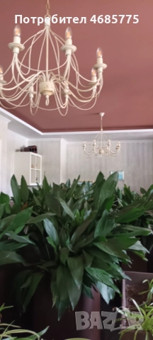 Шпакловка и боядисване | Декоративни мазилки | Професионално изпълнение - София, снимка 4 - Бояджийски услуги - 52826660