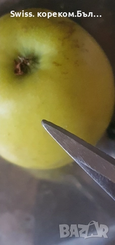 ножица fisksrs, снимка 7 - Други инструменти - 51811076