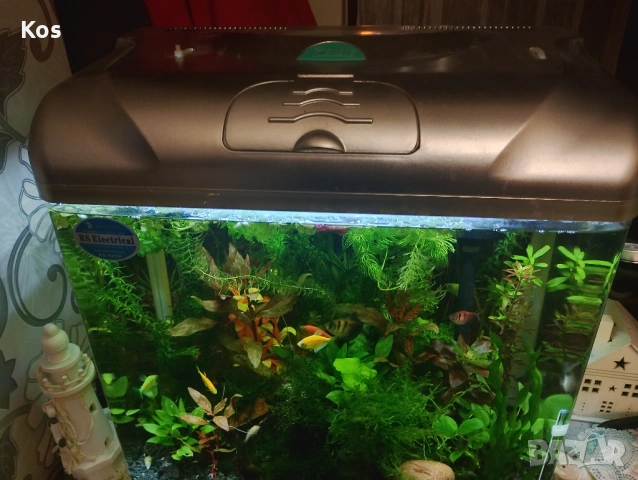 Аквариум комплект 