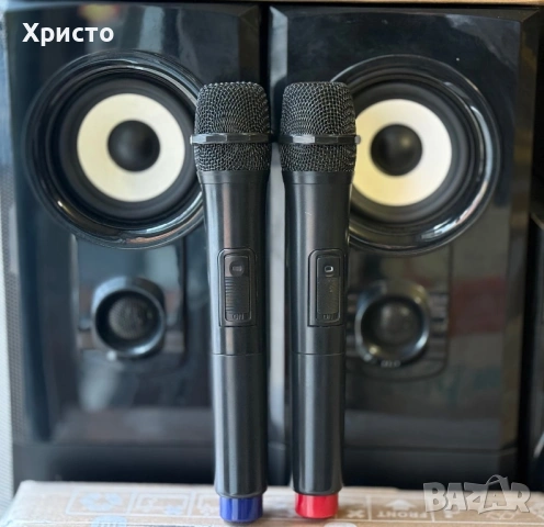 Тонколони THUNDER THS-P01BT, 2.0, 100W (50W + 50W), FM Radio, Bluetooth, USB, Слот за SD карти, снимка 4 - Тонколони - 53100311