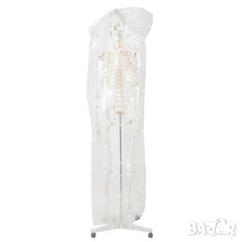 Макет на човешки скелет / Пластмасов анатомичен учебен скелет - 180 см, снимка 5 - Медицински консумативи - 53518464