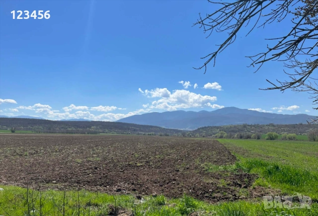 земя 7 дка на 200 м от цент. път пътя Асеновград-Козаново, снимка 3 - Земеделска земя - 52952861