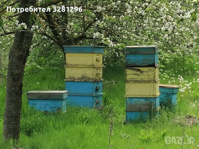 Продавам пчелни семейства 