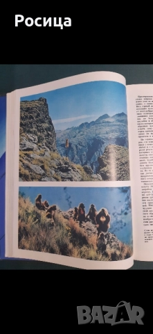 Африка на Лесли Браун от 1976 година, снимка 6 - Енциклопедии, справочници - 51776442