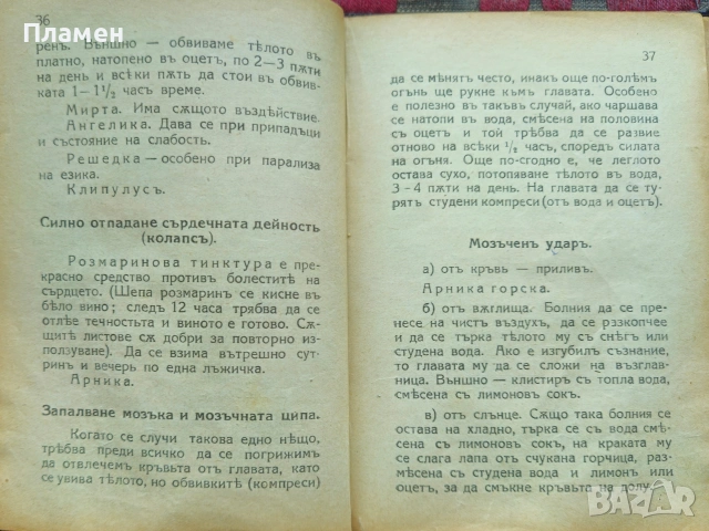 Какво казватъ билките и водата /1924/, снимка 3 - Антикварни и старинни предмети - 53873203