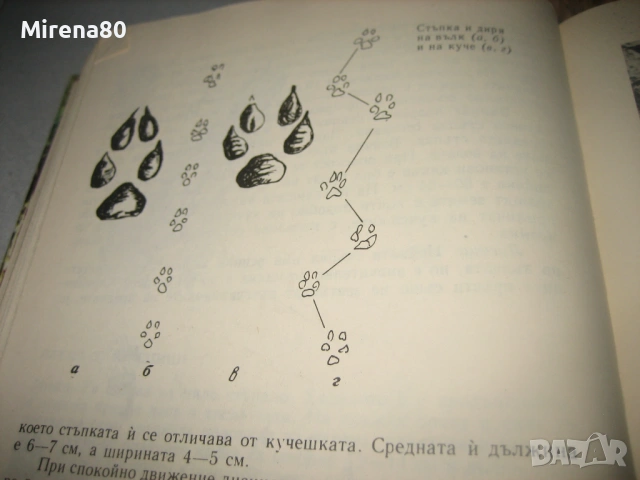 Книга за ловеца и риболовеца - 1977 г., снимка 7 - Специализирана литература - 53978585
