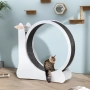 ПРОМОЦИЯ Мултифункционално колело за котки 3 в 1 - 10CXWLCAT60, снимка 1