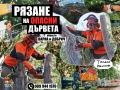Рязане на опасни дървета и почистване на дворове – Варна, снимка 6