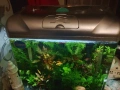Аквариум комплект , снимка 1