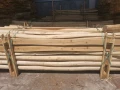 Дървени колове от акация, шлайфани колове,греди ,дъски и  дърва за огрев , снимка 5