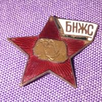 БНЖС женски съюз значка емайл, снимка 2 - Колекции - 45546116