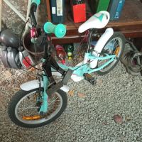Детски велосипед Пасати 16 цола, снимка 1 - Велосипеди - 45494751