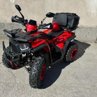 АТВ-ATV 250 cc с лебедка, снимка 3 - Мотоциклети и мототехника - 45113153