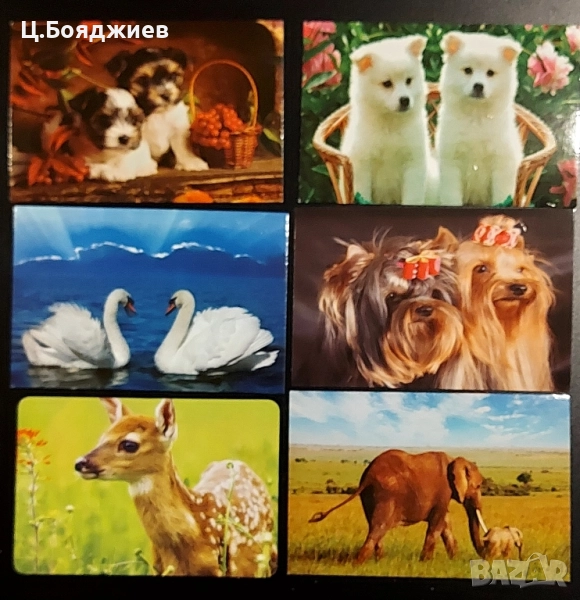 11 бр. стари календарчета - животни, 2014 г. -2017 г., снимка 1