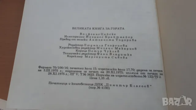 Великата книга за гората - Волфганг Цайске, снимка 14 - Детски книжки - 47053582