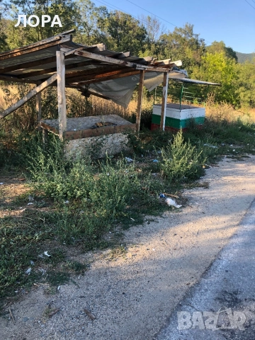 Мило момиче търси дом, снимка 2 - Други - 51559333