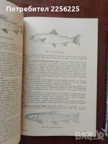 ЛОТ рибовъдство, снимка 3 - Специализирана литература - 50732369