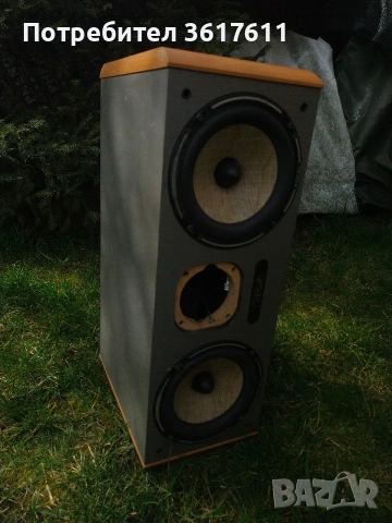 Тонколона за домашно кино Focal, снимка 3 - Тонколони - 53694899