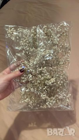 Стръкчета суха естествена гипсофила на пакет, снимка 2 - Изкуствени цветя - 45289550
