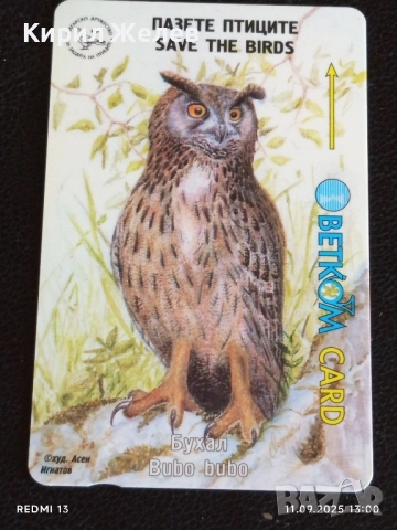 Три фонокарти БЕТКОМ тема БУХАЛ,СОКОЛ,СИНИГЕР 14907, снимка 3 - Колекции - 51677590