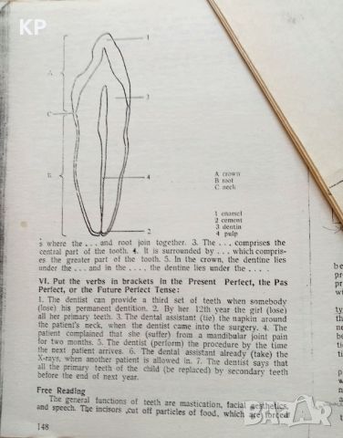 Английски език за дентални лекари , снимка 2 - Чуждоезиково обучение, речници - 46366738