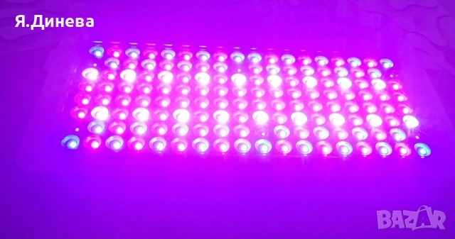 LED лампа за отглеждане на растения , снимка 3 - Лед осветление - 53454890