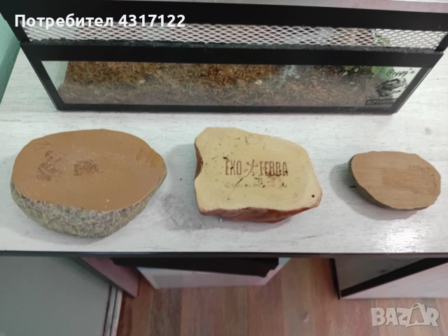 Терариум терариум, снимка 6 - Хамелеон - 53830266