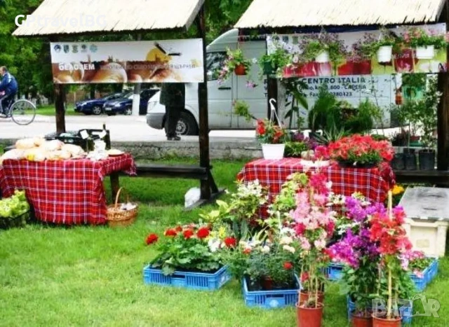 Фестивал на Белия Щъркел в с.Белозем и Чирпан, снимка 2 - Еднодневни екскурзии и почивки - 53911907