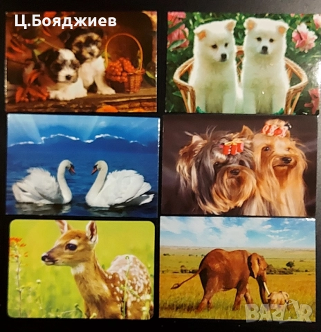 11 бр. стари календарчета - животни, 2014 г. -2017 г.