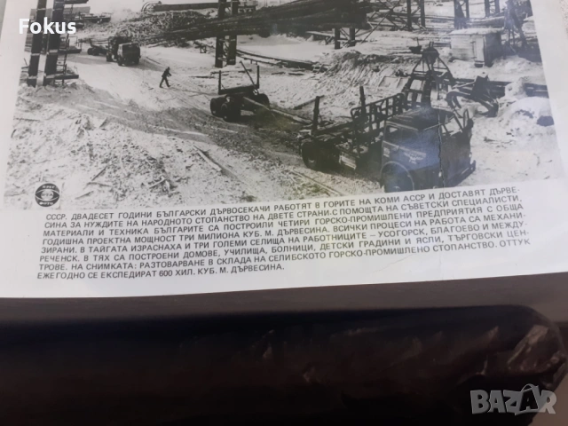 Снимка фотокопие Соц БТА ПресФото български дървосекачи СССР, снимка 2 - Антикварни и старинни предмети - 53330429