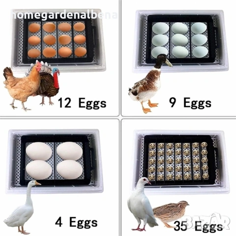 Автоматичен инкубатор 48 яйца YZ8-48 LED дисплей – пилета, патици, пуйки, пъдпъдъци, снимка 6 - За селскостопански - 54108674