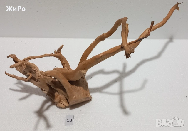 Корен от Азалия /декорация/ 18