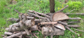 Дървен материал за огрев, снимка 2