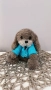 Ръчно плетено кученце, снимка 11