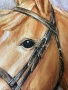 Картини с изображения коне, снимка 4