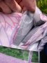 Пикник одеяло в два цвята - Dekor, снимка 3