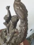 32см-5кг статуетка пауни/много стара френска бронзова скулптура/фигура на птици, снимка 6