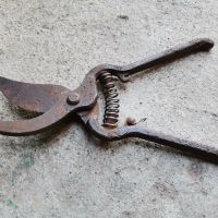 Стара лозарска ножица, снимка 1 - Антикварни и старинни предмети - 45117302