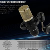 Микрофон BM-800 звукова карта поп филтър студиен запис  , снимка 11 - Микрофони - 45135870